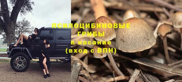 марки lsd Пересвет