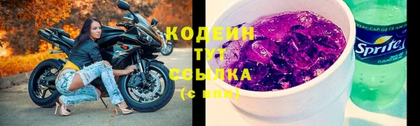дживик Переславль-Залесский