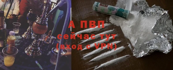 дживик Переславль-Залесский