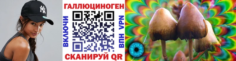 Псилоцибиновые грибы Magic Shrooms  Торопец 